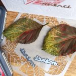 CAS Mix Up October challenge GD reminder - Botanical prints